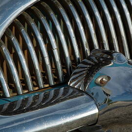 Classic American car bumper by Sami Sarkis Photography