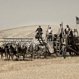 Classic Vintage Harvest by Mary Jo Allen