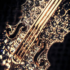 Classical performing art by Jorgo Photography