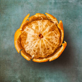 Clementine by Scott Norris