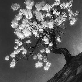 Cliffside Tree by Kelley King