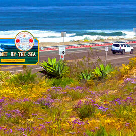 Coast Hwy along Cardiff by the Sea, CA by Waterdancer 