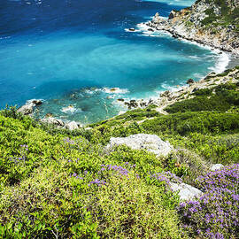 Coast of Greece by Jelena Jovanovic