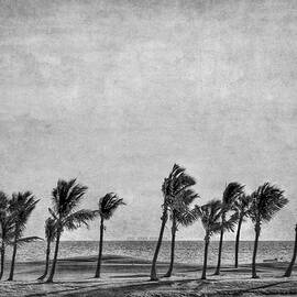 Coastal Winds by Evelina Kremsdorf