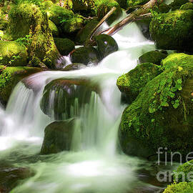 Columbia Gorge Stream by Bruce Block