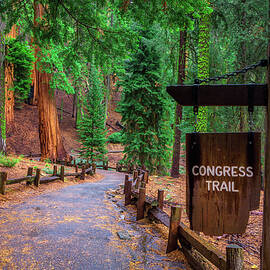 Congress Trail sign in Sequoia National Park by Miroslav Liska