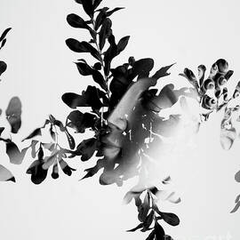 Connected by Jorgo Photography