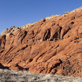 Contrast by Kelley King