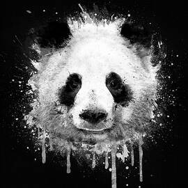 Cool Abstract Graffiti Watercolor Panda Portrait in Black and