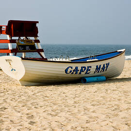 Cool Cape May Beach by Louis Dallara
