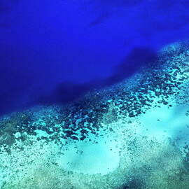 Coral reef seen through clear waters surrounding Mosso Island by Sami Sarkis Photography
