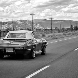 Corvette Road Trip by Mary Lee Dereske