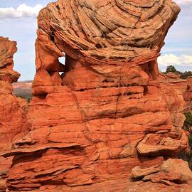Coyote Buttes Warrior by Adam Jewell
