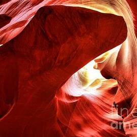 Creature In The Whirlpool by Adam Jewell