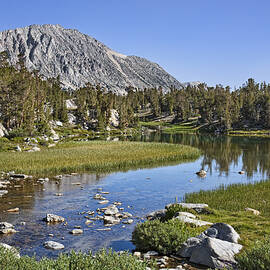 Creek with a View by Kelley King