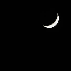 Crescent Moon  by Alison Frank