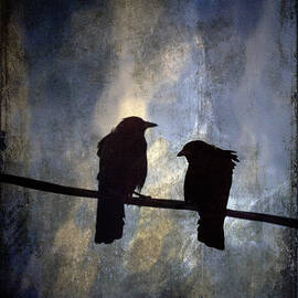 Crows and Sky by Carol Leigh