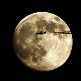 Cruising at 35K by Donn Ingemie