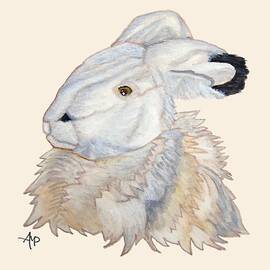 Cuddly Arctic Hare by Angeles M Pomata