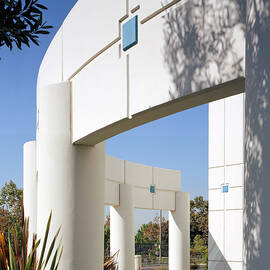 Curvature by Kelley King