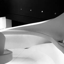 Curves of Light by Jessica Jenney