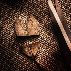 Cut heart leaf, Fall of love by Jorgo Photography
