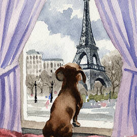 Dachshund In Paris by David Rogers