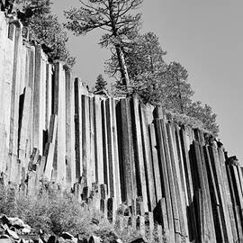 Devils Postpile 2 by Kelley King