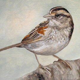 Dinky Sparrow by Angeles M Pomata