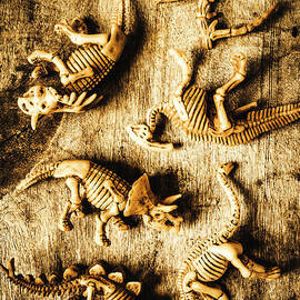 Dinosaurs in a bone display by Jorgo Photography