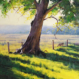 Distant Farm by Graham Gercken