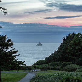 Distant Light by M C Hood
