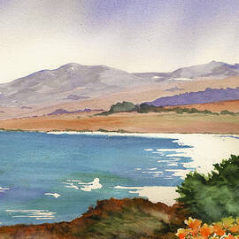 Distant Shore by Marsha Elliott