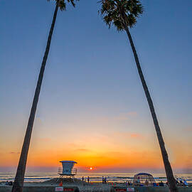 Dos Palms by Peter Tellone