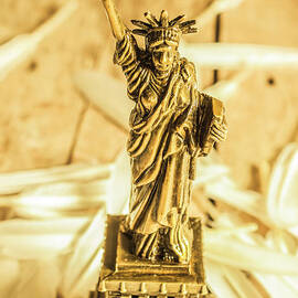 Dove feathers and American landmarks by Jorgo Photography