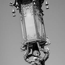 Dragon Light by Kelley King