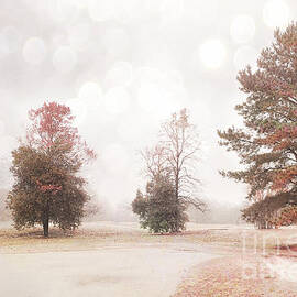 Dreamy Ethereal Serene Peaceful Nature Trees Landscape by Kathy Fornal