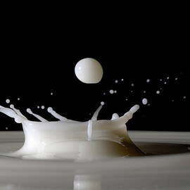 Drops of milk splashing into the air by Sami Sarkis Photography