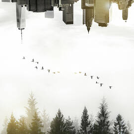 Duality by Nicklas Gustafsson