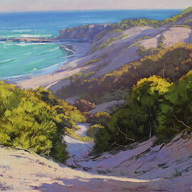 Dunes at Soldiers Beach by Graham Gercken