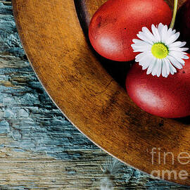 Easter Eggs and daisy flower by Jelena Jovanovic