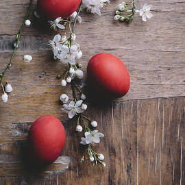 Easter Eggs and spring blossom by Jelena Jovanovic