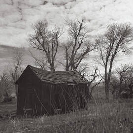 Eastern Sierra Entropy by Joe Schofield