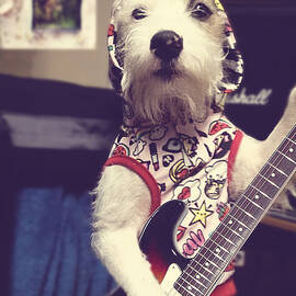 Eddie Plays Guitar by Richard Reeve