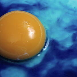 Egg white turning blue due to the practice of genetically modifying food by Sami Sarkis Photography