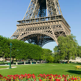 Eiffel Tower in Spring II by Clarence Holmes