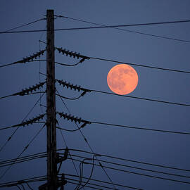 Electric Moon by Richard Reeve