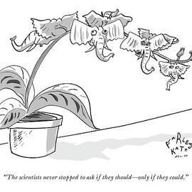 Elephants crossbred with plant. by Farley Katz