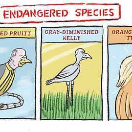Endangered Species by Peter Kuper