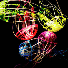 Entwined in interconnectivity by Jorgo Photography